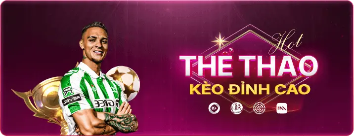 kèo nhà cái đỉnh cao vt88